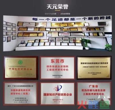 天元集團(tuán)獲專項(xiàng)補(bǔ)助，引領(lǐng)東莞新媒體品牌整合營銷新篇章